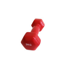 Гантель Generation Fitness VDD-01-2кг красный